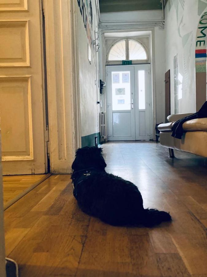 Black Dog Hostel Budapest Esterno foto